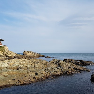 죽도공원