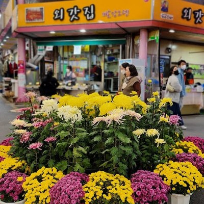 제천 내토전통시장