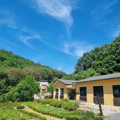 제천 산야초마을