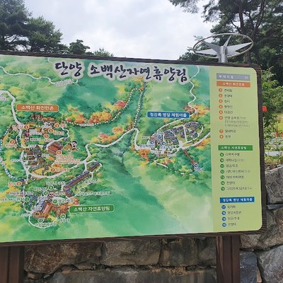 소백산자연휴양림