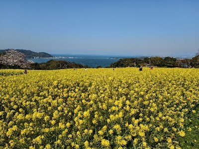 노코노시마 아일랜드 파크