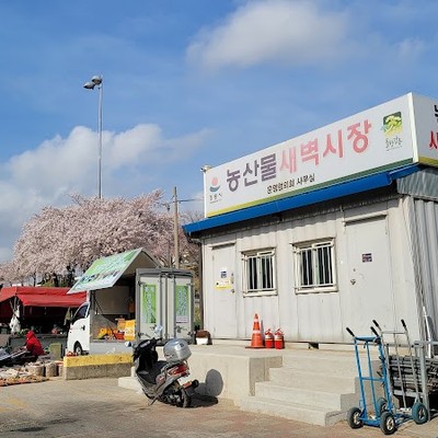 강릉농산물새벽시장