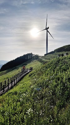 안반데기