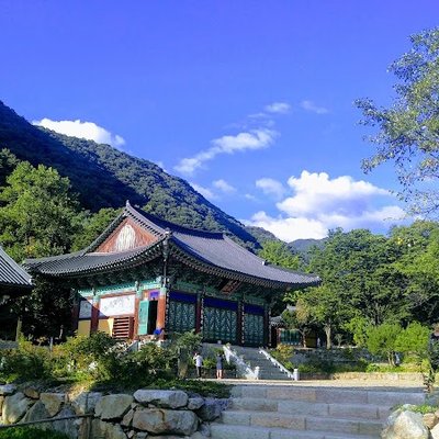 사나사