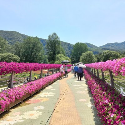 자라섬