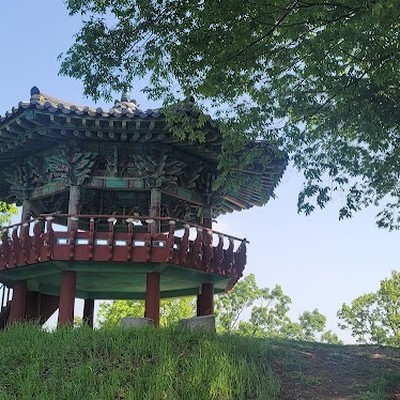 성흥산성 사랑나무