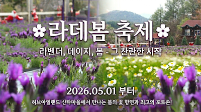허브아일랜드