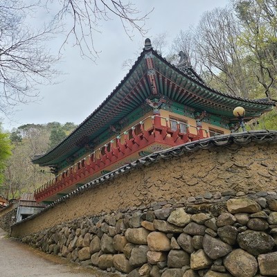 골굴사