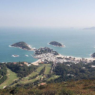 드래곤스 백