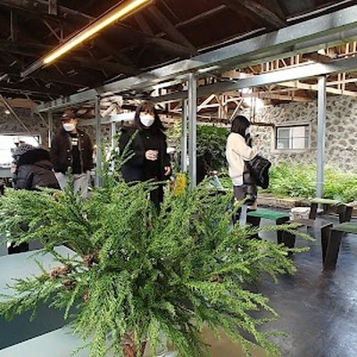앤트러사이트 제주 한림