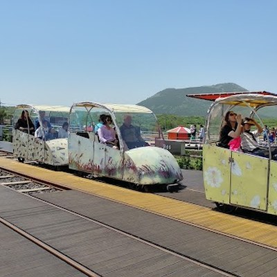 제주레일바이크
