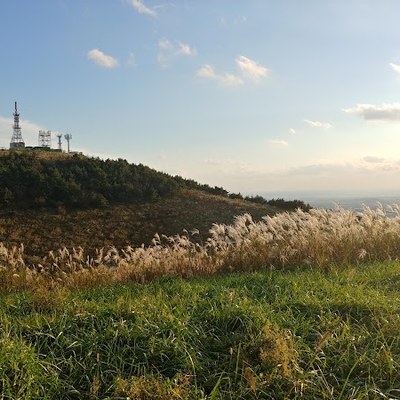 금오름