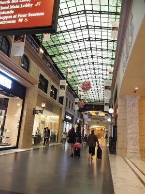파리지앵 쇼핑몰 (Shoppes at Parisian)