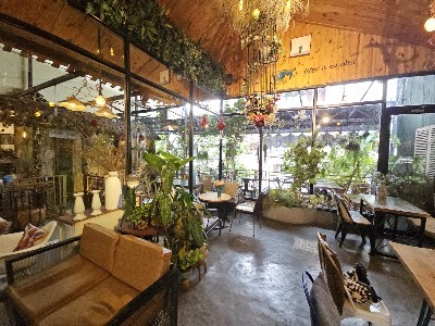 정글커피 (Jungle Coffee)