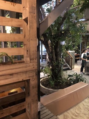 레인포레스트 (Rainforest)