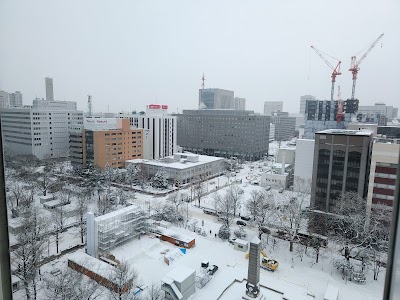 호텔 리솔 트리니티 삿포로 (Hotel Resol Trinity Sapporo)