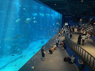 싱가포르 오셔너리움 (구 S.E.A. Aquarium)