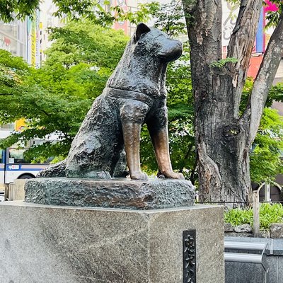 하치코 동상
