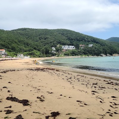 와현모래숲해변