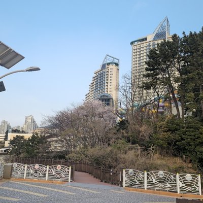 소노캄 거제