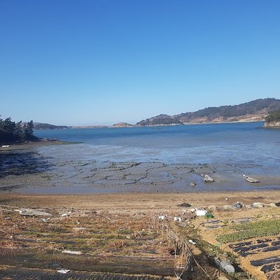 낭도
