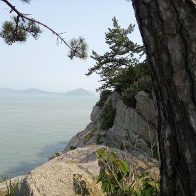 개도